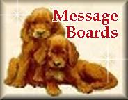 click here for message boards